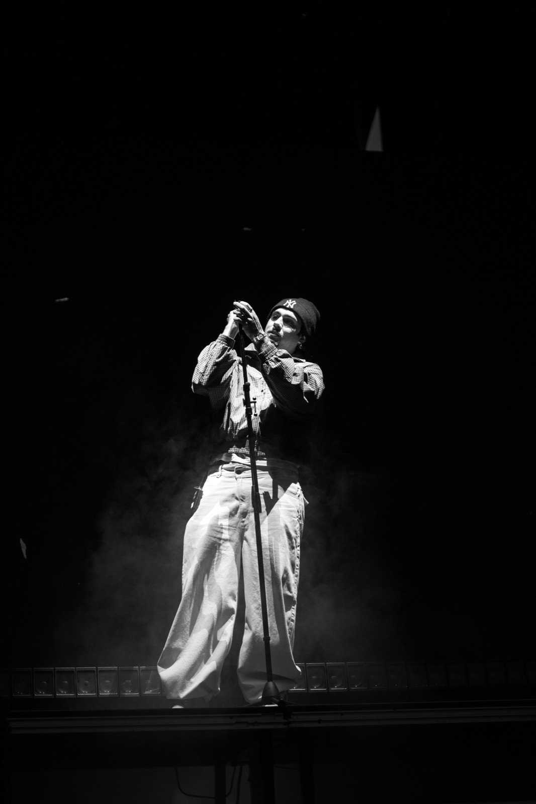 Dvalentino en blanco y negro bajo un foco